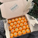 위미농협 | SNS 대란템 '장수마을 감귤' 내돈내산 후기 (ft. 위미농협 싱귤생귤과 비교)