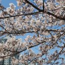 화정천1 이미지