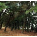 해송여관 이미지