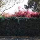 백록정궁도장 이미지