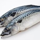 해동금속 이미지