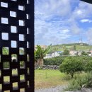 법화 | 20250705, 3박4일 제주 3일차 - 제주토끼 조식, 도리빨해변, 리볼버, 천제연폭포, 별돈별 중문 본점 후기