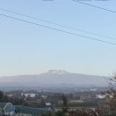 우진카 | 이스타 항공 ZE713/제주공항 팝업/제주 렌트카 추천 후기/우진해장국/제주마방목지/제주 숙소 추천/오는...