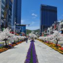 LCT마루공인중개사사무소 이미지