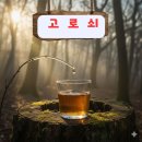 고로쇠 수액 효능과 나무수액 종류 보관법 이미지