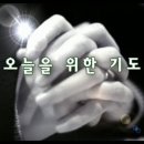 오늘을 위한 기도 - 이해인/ 봄의 태동 이미지