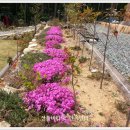 산들바다애(愛)민박 이미지