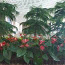 이재두행정사사무소 이미지