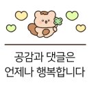 메르벨르A 네이버블로그