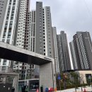 반딧불이 | 인천 새집증후군 제일 풍경채 위너 스카이 반딧불이 시공후기