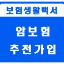 암보험추천가입 이미지