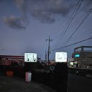 월정리 문스테이 게스트하우스 | 제주 월정리 여자 1인 숙소 소낭스테이