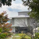 돈 소랑 | 거제도 슬로우소랑 카페 후기