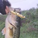 청도천3 이미지