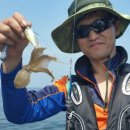 오늘도 쭈꾸미 이미지