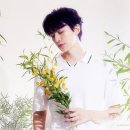 보태니컬 아트 이미지