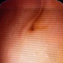 와이즈24시 동물병원 이미지