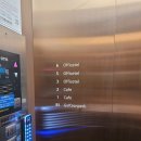 시지골프존 | 대구 수성구 시지 골프존파크 신매 아이올리골프 후기