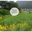 한반도가요주점 이미지