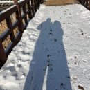 포천 럭스제이 애견펜션 이미지