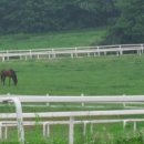 인종목장 이미지