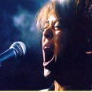 정글스토리