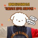 엘케이 코퍼레이션 - 과천시 | 엘케이 코퍼레이션