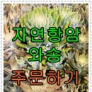진주하씨농원