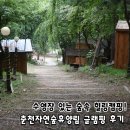 오토앤(주) | 수영장과 숲속 힐링 여름캠핑! 춘천숲자연휴양림 글램핑 후기