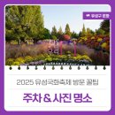 도는풍차작은도서관 | 2025 유성국화축제 방문 꿀팁 &#39;주차 &amp; 사진 명소&#39;