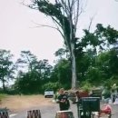 작은콘서트 이미지