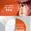 조성한치과의원 이미지