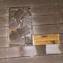 매교동행정복지센터 | 퇴근길산책) 구천2교 매교동행정복지센터 중앙통닭 매세교 수원중 매교초