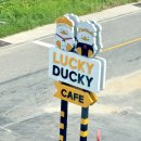 러키더키(LUCKYDUCKY) | 대구 근교 무료 아쿠아리움, 식물원이 있는 칠곡 러키더키 카페