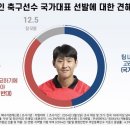 이강인 국대 선발, 찬성 46.9%, 반대 40.7% 이미지