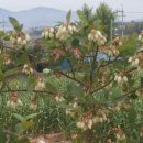 궁 민박 이미지