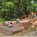 계남 유아숲체험원 이미지