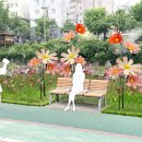 홍제천변길 이미지