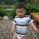 성재민박 Daum카페