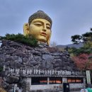 와우정사 | 서울 근교 당일 여행 용인 와우정사 후기