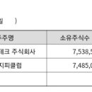 에이치지피