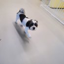 오로지몽