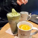 토브하우스 | 카페] 폴바셋에서 즐기는 힐링 타임: 제주 한라봉 티 &amp; 말차 아이스크림 라떼 후기 (칼로리 정보 포함)