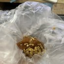 가르텐비어합정점 | 8월 3주차 먹부림 일상 (feat.케밥 엔딩)