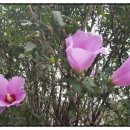 산성자동차공업사 이미지