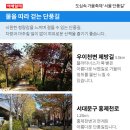 서울단풍길 Daum카페