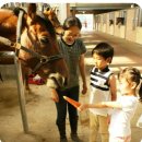 안성팜랜드 푸드트럭 이미지