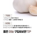 강력한 항생 물질 &#39;마늘의 효능 이미지