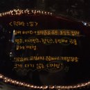 내돈내산 일점이피어싱 솔직후기 가격 귀테리어 세팅