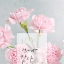 가정미용실